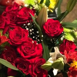 Meet your Posher, Jenny